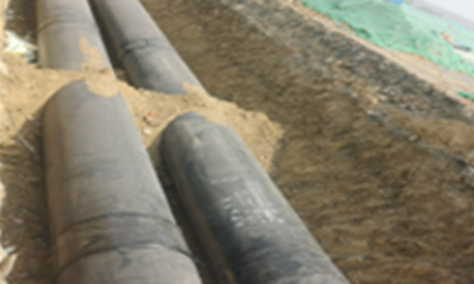 萊熱入泰項(xiàng)目